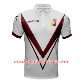 Maillot/Tenue Venezuela Extérieur Copa América 2019